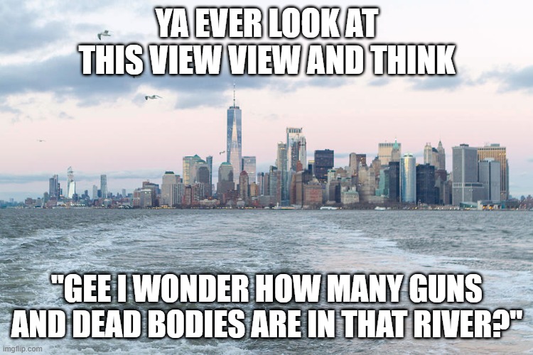 The Beautiful NYC Skyline | YA EVER LOOK AT THIS VIEW VIEW AND THINK; "GEE I WONDER HOW MANY GUNS AND DEAD BODIES ARE IN THAT RIVER?" | image tagged in nyc | made w/ Imgflip meme maker