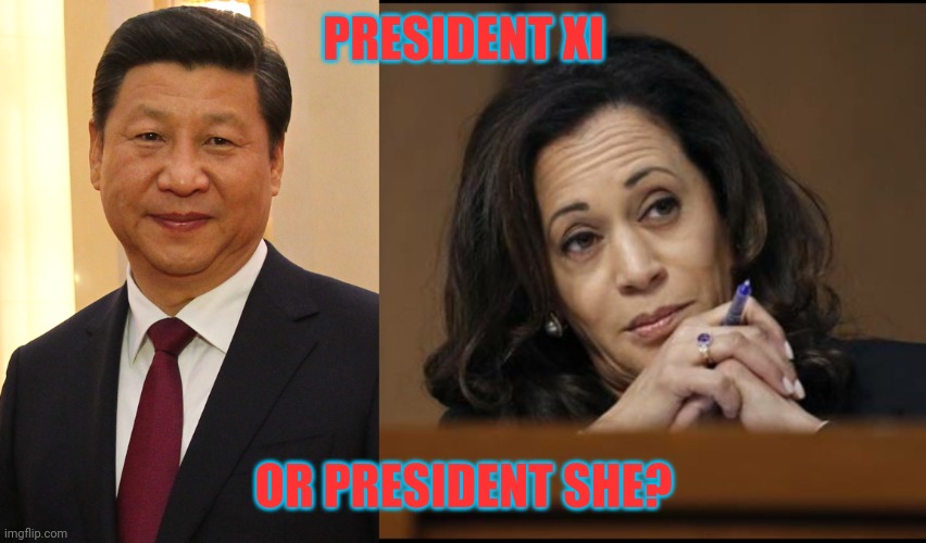 PRESIDENT XI OR PRESIDENT SHE? | image tagged in xi jinping,kamala harris | made w/ Imgflip meme maker