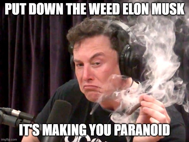 Elon Musk Weed | PUT DOWN THE WEED ELON MUSK IT'S MAKING YOU PARANOID | image tagged in elon musk weed | made w/ Imgflip meme maker