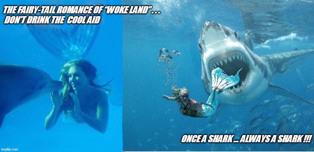 THE FAIRY-TAIL ROMANCE OF “WOKE LAND” . . .

 DON’T DRINK THE  COOL AID; ONCE A SHARK … ALWAYS A SHARK !!! | image tagged in woke land | made w/ Imgflip meme maker