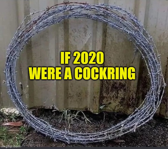 2020 | IF 2020 WERE A COCKRING | image tagged in 2020 | made w/ Imgflip meme maker