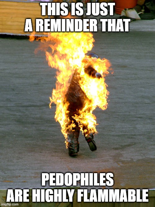 Burn Good | THIS IS JUST A REMINDER THAT; PEDOPHILES ARE HIGHLY FLAMMABLE | image tagged in burnt | made w/ Imgflip meme maker