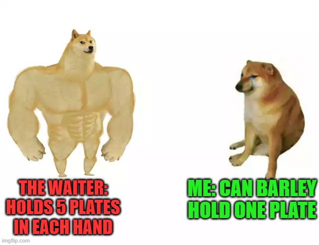 Buff Doge vs. Cheems |  THE WAITER: HOLDS 5 PLATES IN EACH HAND; ME: CAN BARLEY HOLD ONE PLATE | image tagged in buff doge vs cheems | made w/ Imgflip meme maker