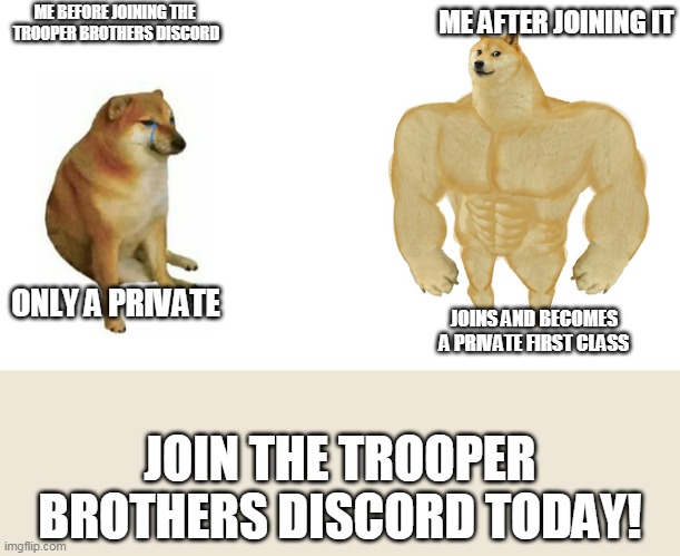Join today! | ME AFTER JOINING IT; ME BEFORE JOINING THE  TROOPER BROTHERS DISCORD; ONLY A PRIVATE; JOINS AND BECOMES A PRIVATE FIRST CLASS; JOIN THE TROOPER BROTHERS DISCORD TODAY! | image tagged in swole doge vs cheems flipped | made w/ Imgflip meme maker