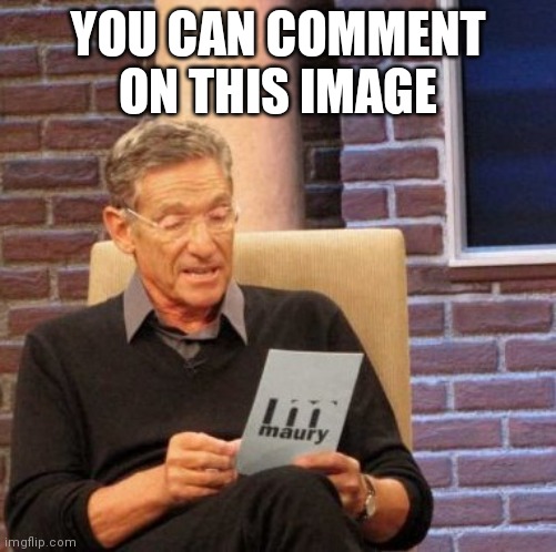 pls don't change my title to a swear | YOU CAN COMMENT ON THIS IMAGE | image tagged in memes,maury lie detector | made w/ Imgflip meme maker