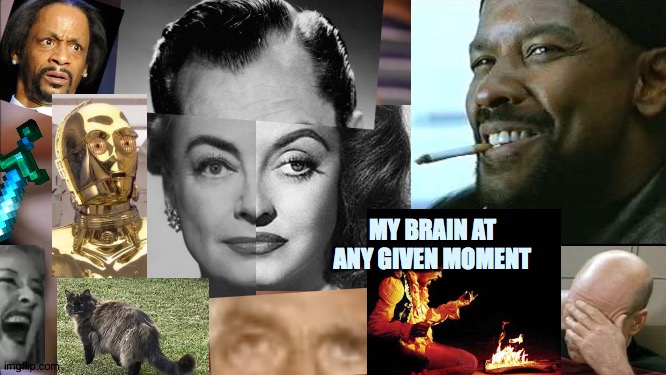what? brain? | MY BRAIN AT ANY GIVEN MOMENT | image tagged in memes,its not going to happen,what,brain,hey | made w/ Imgflip meme maker