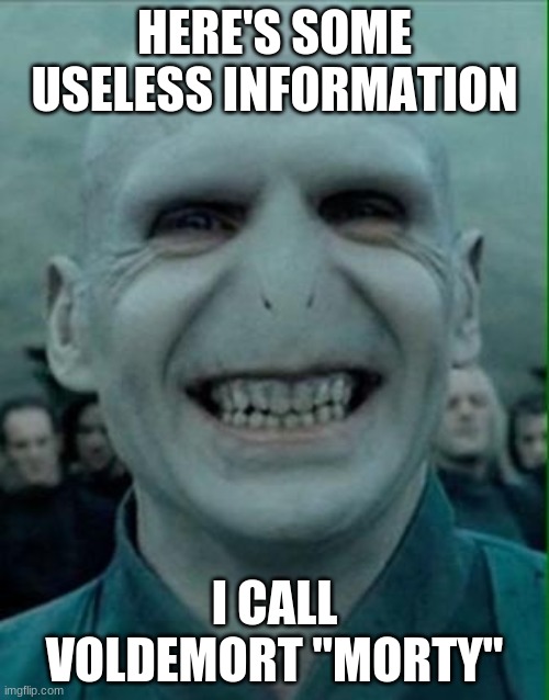 Yeah, morty | HERE'S SOME USELESS INFORMATION; I CALL VOLDEMORT "MORTY" | image tagged in voldemort grin | made w/ Imgflip meme maker