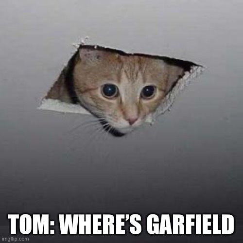 Ceiling Cat | TOM: WHERE’S GARFIELD | image tagged in memes,ceiling cat | made w/ Imgflip meme maker