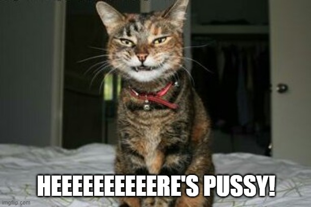 Evil Smile Cat | HEEEEEEEEEERE'S PUSSY! | image tagged in evil smile cat | made w/ Imgflip meme maker