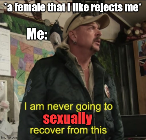 Sexually recover from rejection | *a female that I like rejects me*; Me:; sexually | image tagged in joe exotic financially recover | made w/ Imgflip meme maker