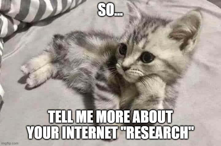 So... Tell me more about your internet "research" | SO... TELL ME MORE ABOUT YOUR INTERNET "RESEARCH" | image tagged in kitten,skeptical | made w/ Imgflip meme maker