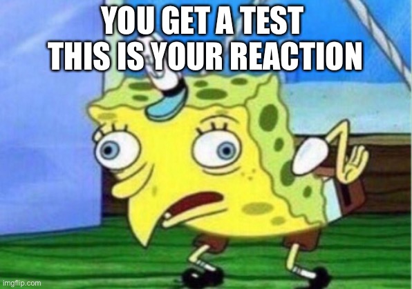 Mocking Spongebob | YOU GET A TEST 
THIS IS YOUR REACTION | image tagged in memes,mocking spongebob | made w/ Imgflip meme maker