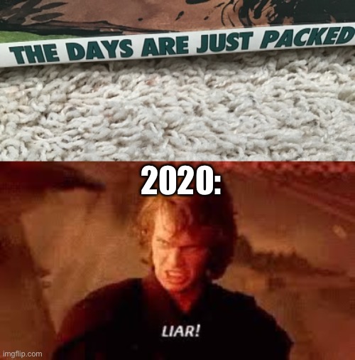 This book.... | 2020: | image tagged in anakin liar,memes,books | made w/ Imgflip meme maker