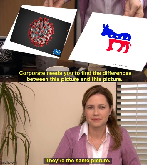 They are the same picture | image tagged in they are the same picture | made w/ Imgflip meme maker