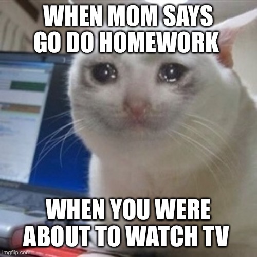 Crying cat | WHEN MOM SAYS GO DO HOMEWORK; WHEN YOU WERE ABOUT TO WATCH TV | image tagged in crying cat | made w/ Imgflip meme maker