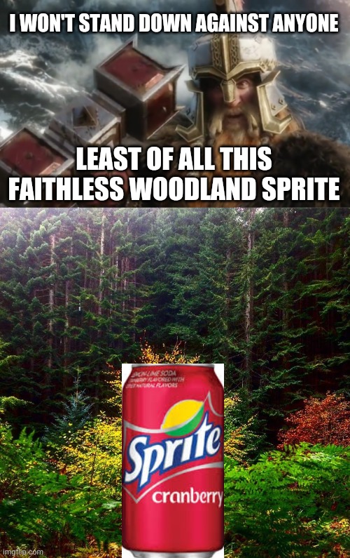 I WON'T STAND DOWN AGAINST ANYONE; LEAST OF ALL THIS FAITHLESS WOODLAND SPRITE | image tagged in scotland woodland,dwarf,lord of the rings,the hobbit,sprite cranberry | made w/ Imgflip meme maker