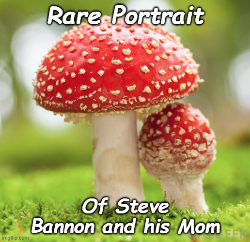 Rare Portrait; Of Steve Bannon and his Mom | image tagged in steve bannon,toadstool,democrat,liberal,trump | made w/ Imgflip meme maker