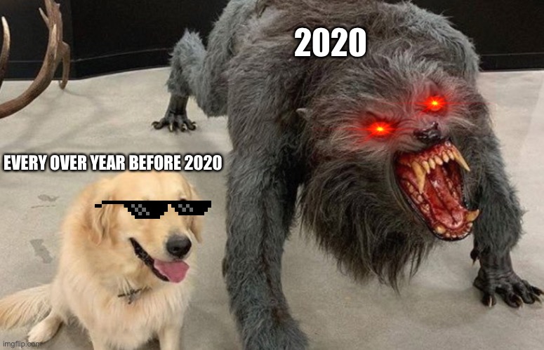 2020 and other years | 2020; EVERY OVER YEAR BEFORE 2020 | image tagged in memes | made w/ Imgflip meme maker