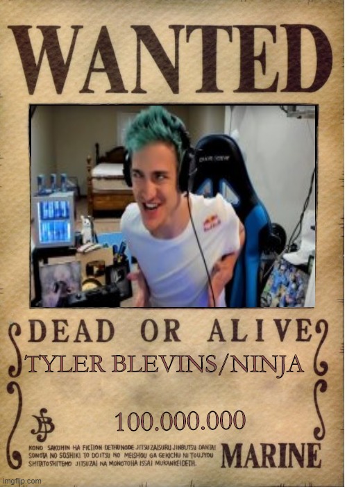 there you go nami money | TYLER BLEVINS/NINJA; 100.000.000 | image tagged in one piece wanted poster template | made w/ Imgflip meme maker