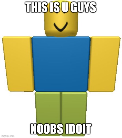 STOP HAKCING NOOBS | THIS IS U GUYS; NOOBS IDOIT | image tagged in roblox noob | made w/ Imgflip meme maker