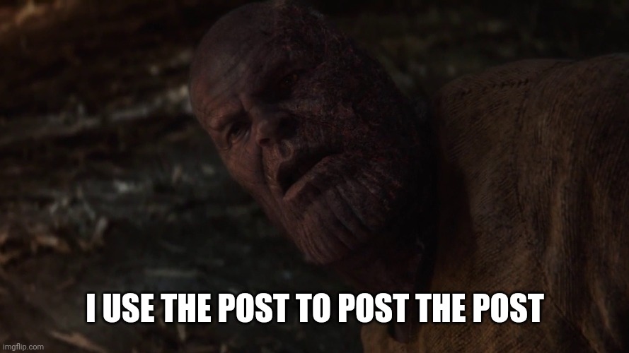 i used the stones to destroy the stones | I USE THE POST TO POST THE POST | image tagged in i used the stones to destroy the stones | made w/ Imgflip meme maker