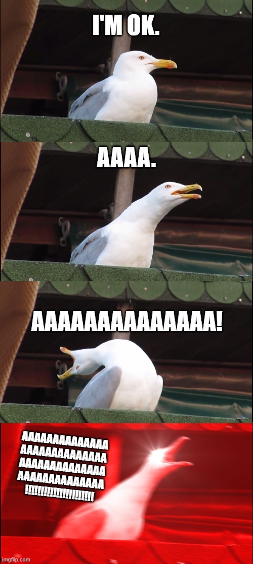 AAAAAAAAAAAAAAAAAA!!!!!!!!!!! | I'M OK. AAAA. AAAAAAAAAAAAAA! AAAAAAAAAAAAAA
AAAAAAAAAAAAAA
AAAAAAAAAAAAAA
AAAAAAAAAAAAAA
!!!!!!!!!!!!!!!!!!!!!! | image tagged in memes,inhaling seagull | made w/ Imgflip meme maker