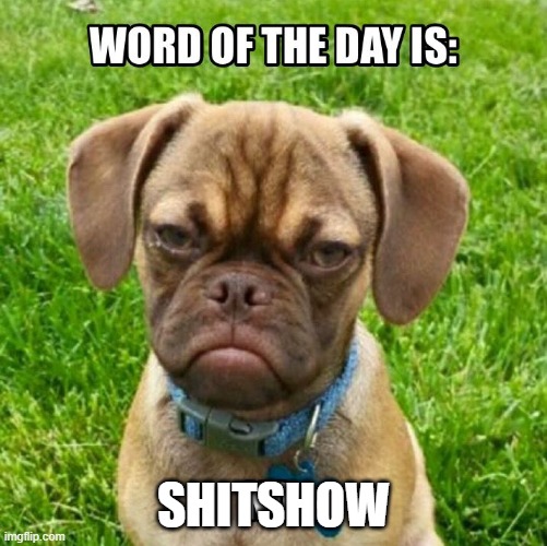 Bad Day | SHITSHOW | image tagged in word of the day,shit,bad day | made w/ Imgflip meme maker