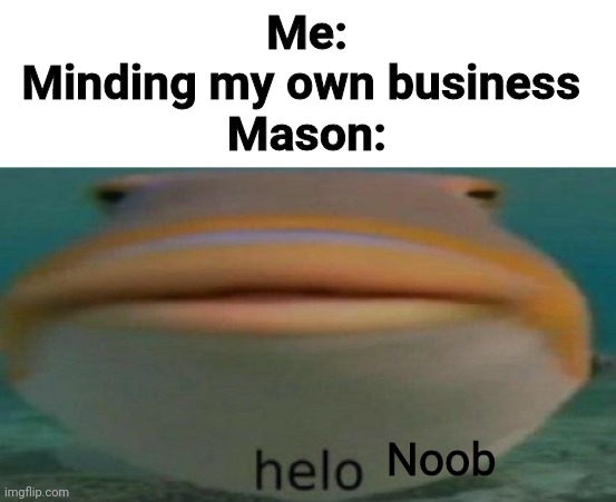 When will Mason just leave? | Me:
Minding my own business 
Mason:; Noob | image tagged in helo,mason,noob,memes,funny | made w/ Imgflip meme maker