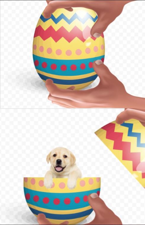 High Quality Puppy egg Blank Meme Template