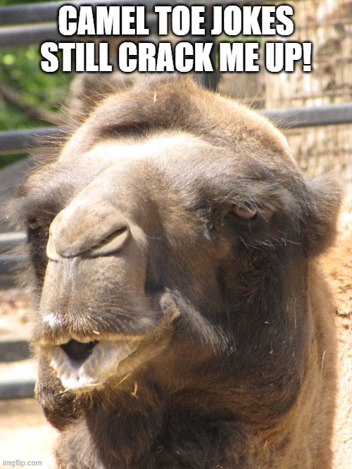 Camel Toe Blank Meme Template