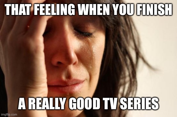 :( | THAT FEELING WHEN YOU FINISH; A REALLY GOOD TV SERIES | image tagged in memes,first world problems,tv shows | made w/ Imgflip meme maker