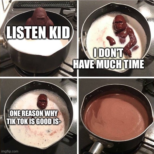 Hope it's none! | LISTEN KID; I DON'T HAVE MUCH TIME; ONE REASON WHY TIK TOK IS GOOD IS- | image tagged in chocolate gorilla,memes,funny,tik tok,you're actually reading the tags,stop reading the tags | made w/ Imgflip meme maker