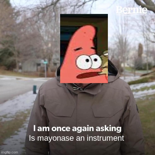 Bernie I Am Once Again Asking For Your Support | Is mayonase an instrument | image tagged in memes,bernie i am once again asking for your support | made w/ Imgflip meme maker