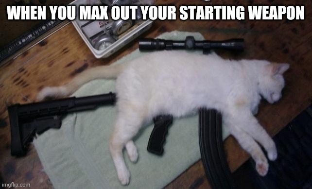 WHEN YOU MAX OUT YOUR STARTING WEAPON | image tagged in cats | made w/ Imgflip meme maker