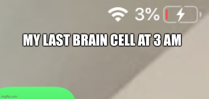 we all relate to this | MY LAST BRAIN CELL AT 3 AM | image tagged in brain cells,battery,ipad,oof | made w/ Imgflip meme maker