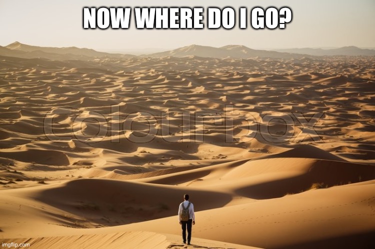 NOW WHERE DO I GO? | image tagged in CPTSDmemes | made w/ Imgflip meme maker