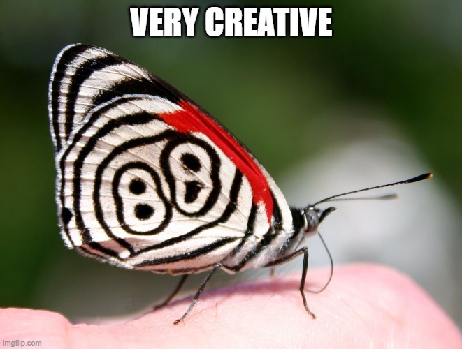 beauty puzzle solver butterfly | VERY CREATIVE | image tagged in puzzle solver butterfly | made w/ Imgflip meme maker