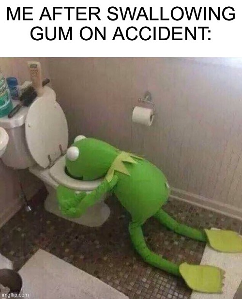 I hate it | ME AFTER SWALLOWING GUM ON ACCIDENT: | image tagged in blank white template,kermit throwing up,memes | made w/ Imgflip meme maker