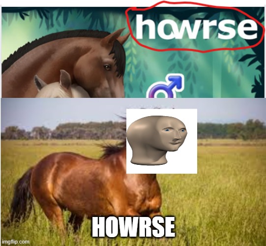 yeehaw brothers | HOWRSE | image tagged in horse,stonks,stonks horse | made w/ Imgflip meme maker