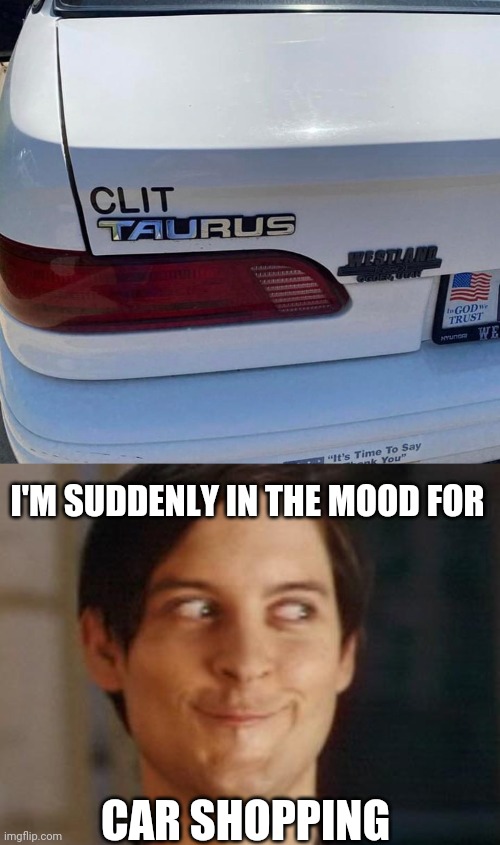 Car shopping gone wrong | I'M SUDDENLY IN THE MOOD FOR; CAR SHOPPING | image tagged in memes,spiderman peter parker,cars,ford,funny | made w/ Imgflip meme maker