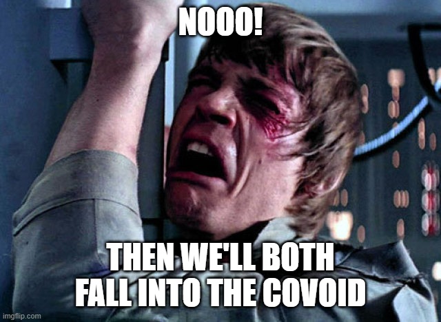 Nooo | NOOO! THEN WE'LL BOTH FALL INTO THE COVOID | image tagged in nooo | made w/ Imgflip meme maker