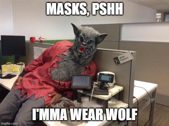 work hound | MASKS, PSHH; I'MMA WEAR WOLF | image tagged in werewolf willie | made w/ Imgflip meme maker