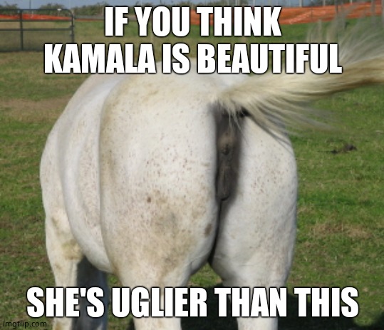 Horse's ass | IF YOU THINK KAMALA IS BEAUTIFUL SHE'S UGLIER THAN THIS | image tagged in horse's ass | made w/ Imgflip meme maker