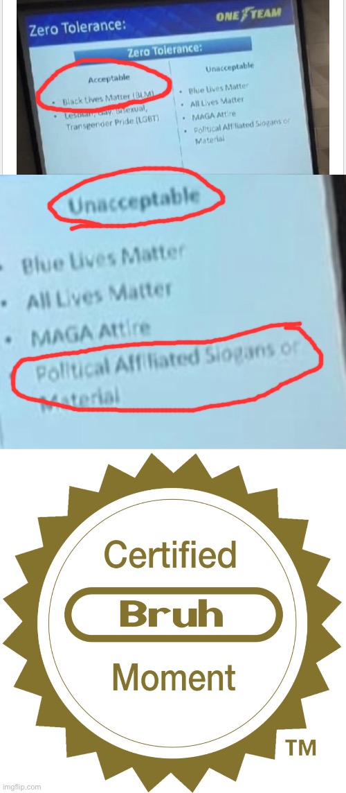 Everything is political nowadays | image tagged in certified bruh moment | made w/ Imgflip meme maker