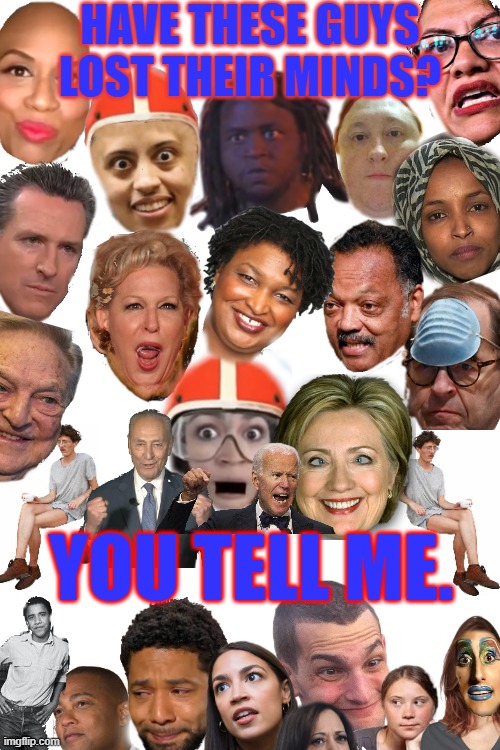HAVE THESE GUYS LOST THEIR MINDS? YOU TELL ME. | image tagged in blank white template | made w/ Imgflip meme maker
