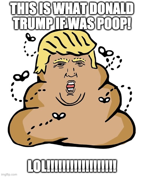 This is funny!!! | THIS IS WHAT DONALD TRUMP IF WAS POOP! LOL!!!!!!!!!!!!!!!!!! | image tagged in poop,donald trump,yeah | made w/ Imgflip meme maker