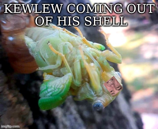 KEWLEW COMING OUT
 OF HIS SHELL | image tagged in kewlew,ciccada | made w/ Imgflip meme maker