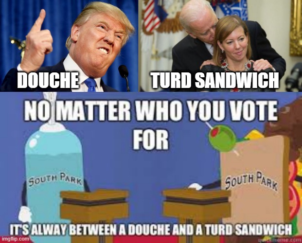 Welcome to the 2020 Election | DOUCHE                     TURD SANDWICH | image tagged in creepy joe biden,donald trump | made w/ Imgflip meme maker