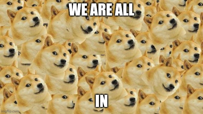 old | WE ARE ALL; IN | image tagged in memes,multi doge | made w/ Imgflip meme maker