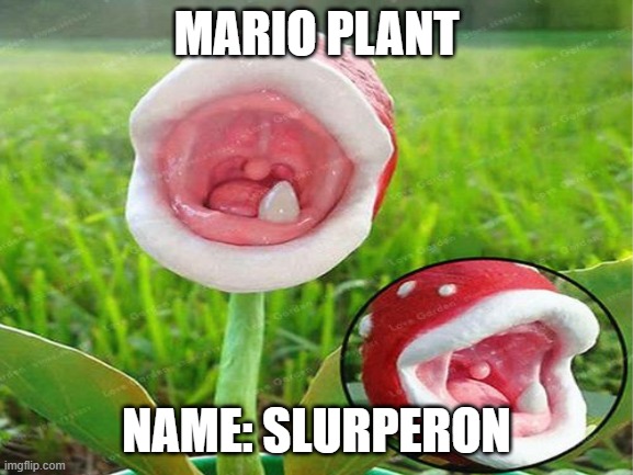 slurp | MARIO PLANT NAME: SLURPERON | made w/ Imgflip meme maker